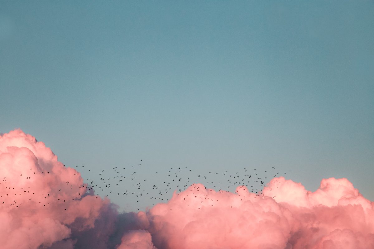 How to Steal a Vibe: The Phenomenal Unity of Reality, the Mind-Body  Problem, and the Blockchain of Consciousness - jeremy hadfield